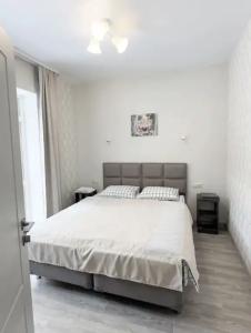 Звезды Архыза - 29