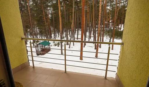 Сосновый Бор - 48