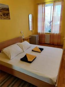 Кают-компания - 142