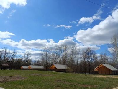 Зелень & The лень - 25