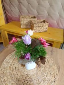 Зелень & The лень - 40