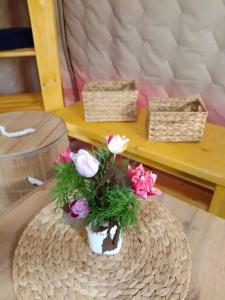 Зелень & The лень - 43