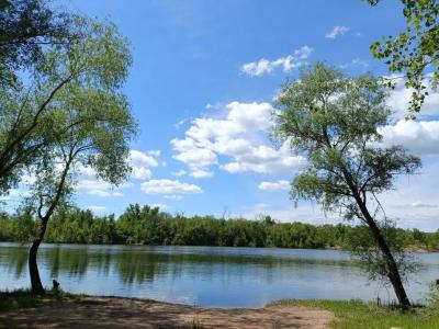 Зелень & The лень - 60