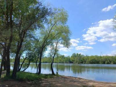 Зелень & The лень - 61