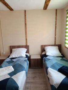 Зелень & The лень - 82