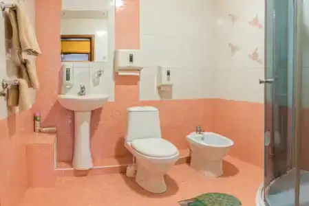 Милославский - 111