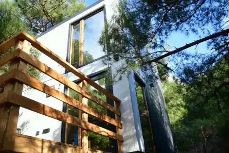 Новый Свет - 171