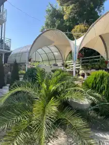 Palm Hotel - 17