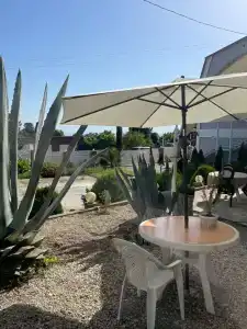 Palm Hotel - 42