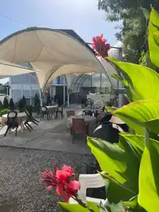 Palm Hotel - 43