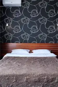 Арт - 6