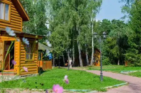 Березовая роща - 18