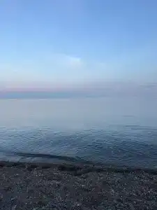 Тихий дворик - 15