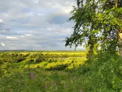 Видомлицы - 40