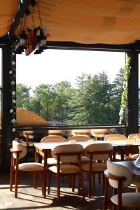 Majestic & Restaurant - 43