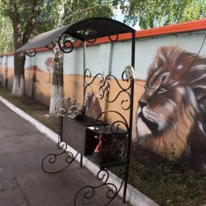 Сафари - 9