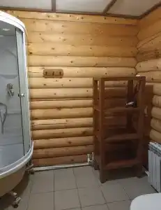 Феникс - 17
