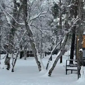 Махар - 164