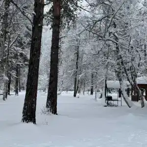 Махар - 165