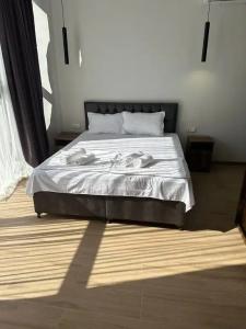 Majestic & Restaurant - 62