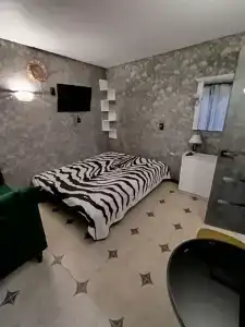 Кот в сапогах 1 - 27