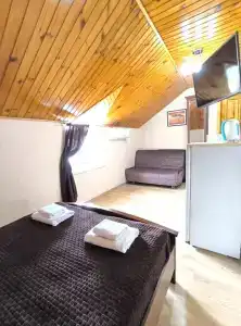 Багира - 149