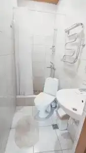 Багира - 153