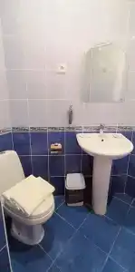 Багира - 176