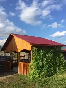 Алтайский дворик - 82