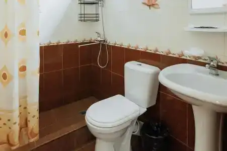 Диана Аллама групп - 46