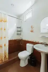 Диана Аллама групп - 47