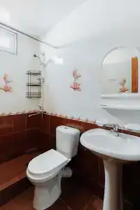 Диана Аллама групп - 56