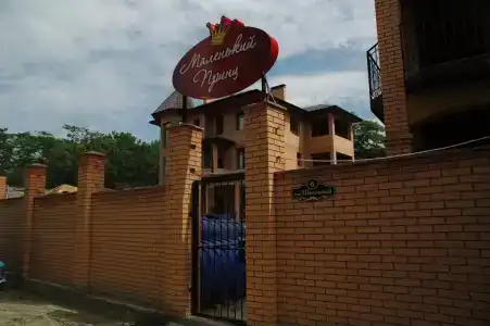 Маленький Принц - 4
