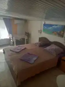 Виктория - 12