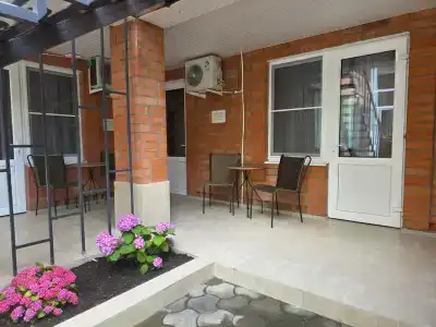 Цитрус - 112