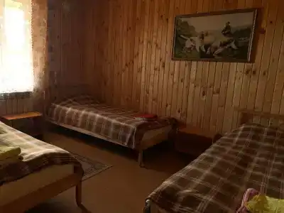 Волчица - 30