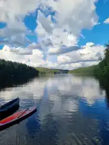 На паузе - 113