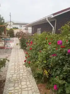 Лукоморье - 232