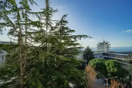 Бристоль - 149