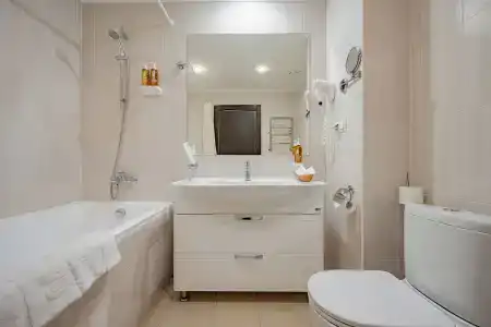 Бристоль - 152