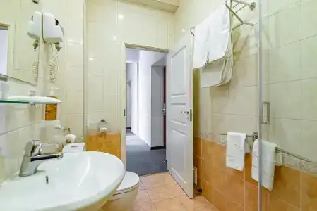 Бристоль - 167