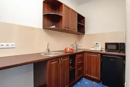 Бристоль - 205