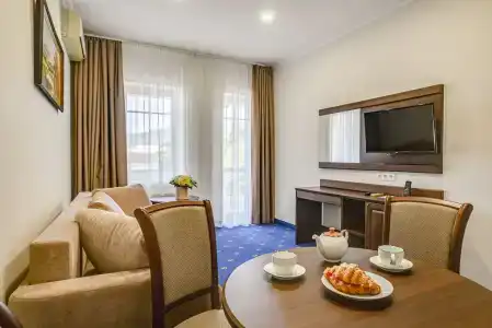 Бристоль - 206