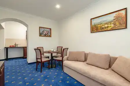 Бристоль - 207