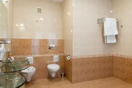 Бристоль - 209