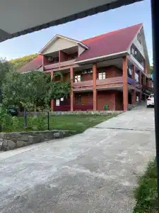 Shamset - 8