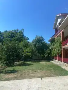 Shamset - 9