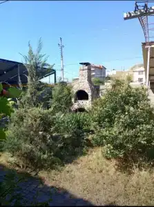 Астор - 10