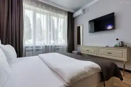 Береза - 19
