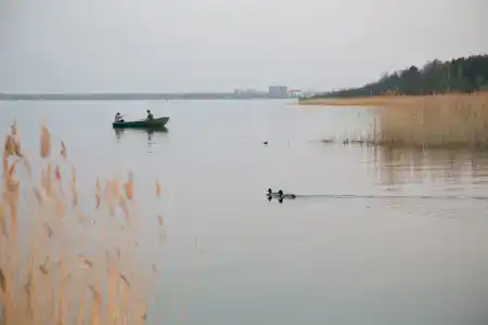 Деревянный дом в п. им. Морозова - 19
